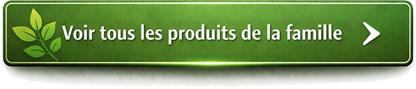 cliquer sur éclairage jardin