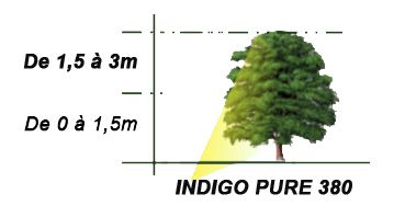 éclairage arbre par INDIGO PURE 380