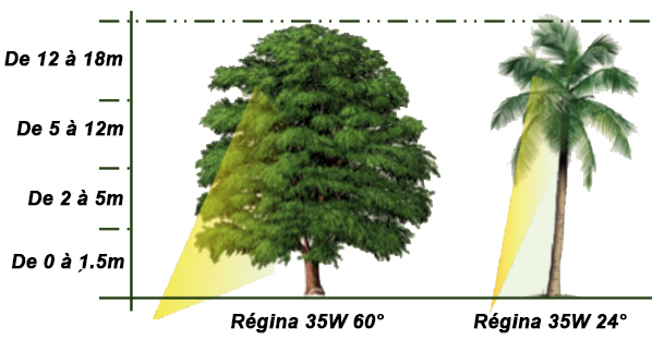 Eclairage arbre LUTEC REGINA 