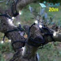 Guirlande solaire 20m - Blachère