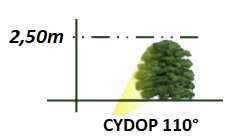 éclairage arbre par LUTEC CYDOP